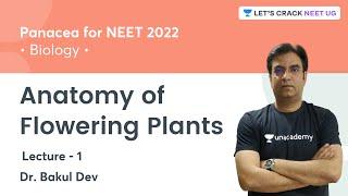 Anatomy of Flowering Plants | Lecture 1 | NEET 2022 | Lets Crack NEET UG | Dr. Bakul Dev