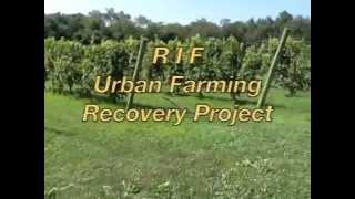 Healing Through Urban Farming by RiF