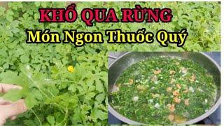 Cây KHỔ QUA RỪNG ( MƯỚP ĐẮNG) xưa không ai ăn ngày nay là món ngon thuốc quý có công dụng tuyệt vời