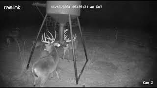 The King has arrived.#Whitetails #deerhunting #ranch