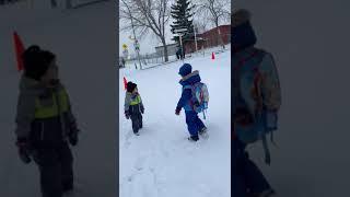 Snow falliing#canada#alberta#kids school#fun#enjoy#walk#snow walk#amazing#morning#winter vibes#wow