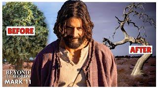 Why You Should be CONCERNED that Jesus KILLED a Tree | Beyond the Words | Mark 11