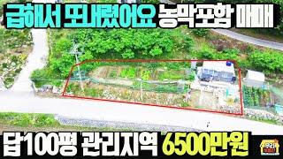 급해서 또 내린금액 컨테이너 농막포함 청정지역 토지 매매가6500만원 답100평, 건축물대장 등재된 컨테이너농막/  양평 우리부동산매물번호 1534 [양평토지 급매물]