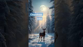 СПОКОЙНОЙ НОЧИ!#добрыхснов #добройночи#красиваямузыкальнаяоткрытка #сладкихснов #спокойнойночимузыка