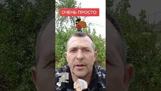 НАУЧУ КАК ЗАРАБАТЫВАТЬ БАБКИ #заработатьвинтернете #бесплатноеобучение
