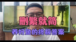 新手养鱼到底该怎么做才不出现这个那个问题？终极答案：删繁就简