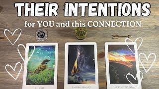 Their INTENTIONS! What do they want to happen in this connection Pick A Card Love Tarot Reading