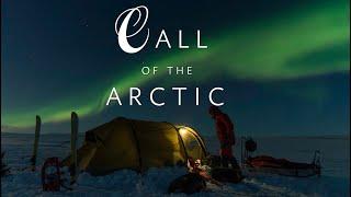 Call of the arctic