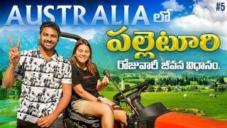 Daily Iife In Village | Melbourne Australia  | Uma Telugu Traveller