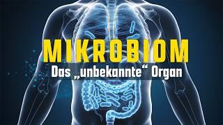 Mikrobiom - Das bisher unbekannte Organ: So beeinflusst es deine komplette Gesundheit