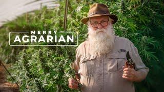 18 Wonderful Years Growing Organic Cannabis | PARAGRAPHIC