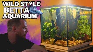 Setting up an EASY natural Betta aquarium! (low tech, botanical aquascape tutorial)