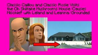 Classic Caillou and Classic Rosie Visits the Oh Shiitake Mushrooms House/Causes Mischief/Grounded
