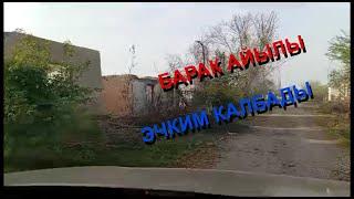 Барак айылында эчким калбады|#Кыргызстан 24