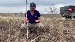 VEGETATION: Vegetation Survey Basics