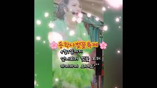 #언니가간다 #장금희 #품바#동학사 #벚꽃축제 #계룡산 #각설이#찍지마라