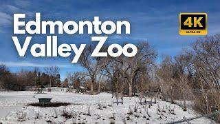 Edmonton Valley Zoo Walking Tour 2024 | City of Edmonton