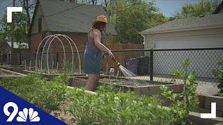 Denver community garden helps address food insecurity