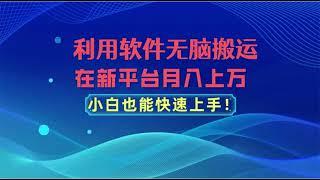 0289【副业项目详解】利用软件无脑搬运，在新平台月入上万，小白也能快速上手