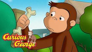 What Kind of Bone Is This?  Curious George  Kids Cartoon  Kids Movies