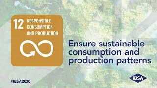 #IBSA2030. SDG 12 – Responsible production and consumption (ENG)