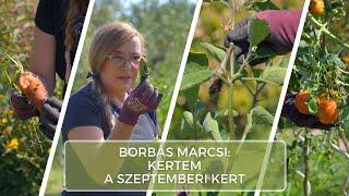 A szeptemberi kert - Borbás Marcsi: Kertem