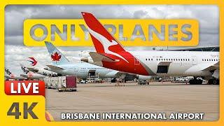  Midweek PLANE SPOTTING @ BNE / YBBN / BRISBANE Airport w/ James + ATC ️️