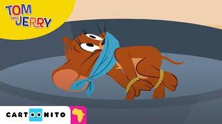 Tom and Jerry: Catching Jerry! | Cartoonito Africa