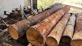 Sawing two 22 footers into 12 x 12’s using Solid Tooth saw with commentary  #21