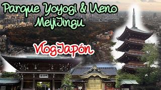 Parque Yoyogi & Ueno, Meiji jingu ► VlogJapón