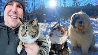 Working the Farm with My Cats & My Dogs