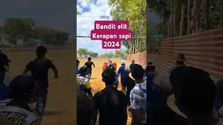 Kerapan sapi 2024 bandit elit Like an subscribe bos #shorts