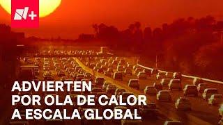Ola de calor en el mundo; Comunidad científica advierte riesgo por temperaturas extremas - En Punto