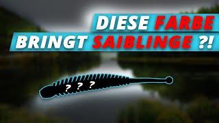 Mit ERWIN MEIRIS auf SAIBLINGSJAGD | Diese Farbe bringt fette SAIBLINGE! | Angelpark-Steinfeld