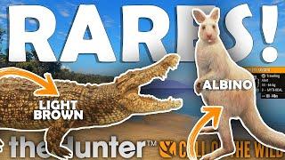 UNBELIEVABLE RARES HUNT in Emerald Coast!!! - Call of the Wild