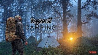 Rainy Pine Forest Camping Adventure in Walapane | A Misty Escape into Nature කොතලගල මුදුනේ රැයක්