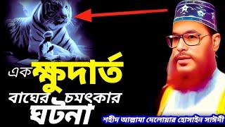 এক ক্ষুদার্ত বাঘের চমৎকার ঘটনা | Saidi Waz | bangla waz allama delwar hussain saidi | Sayeedi Waz