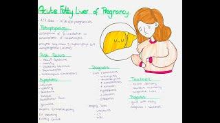 Acute Fatty Liver in Pregnancy - Pathophysiology, Risk Factors, Symptoms, Diagnosis, Treatment etc.
