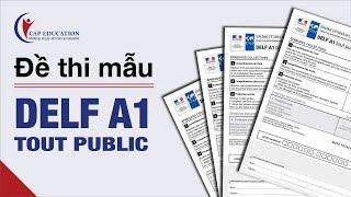 Đề Thi Mẫu DELF A1 Tout Public | Chứng Chỉ Tiếng Pháp | Học Tiếng Pháp Miễn Phí | CAP FRANCE