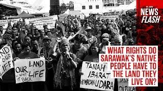 What rights do Sarawak's native people have to the land they live on? | NEWSFLASH