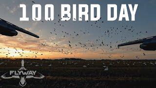 INCREDIBLE 100 Bird Snow Goose Hunt!!! Hunting Snow Geese in Canada!