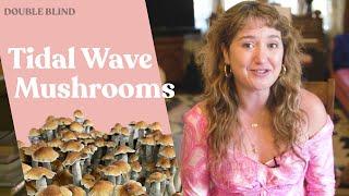 Tidal Wave Mushrooms  | DoubleBlind