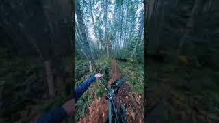 MEGA Line! Top to Bottom  #mtb #trailbuilding