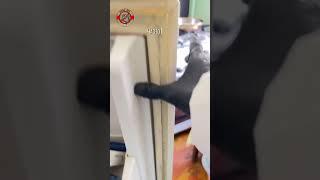 Самые эффективные средства от тараканов, переходи по ссылке в шапке канала! ЧИТАЙ ОПИСАНИЕ!