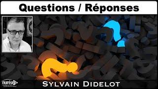 « Questions / Réponses » avec Sylvain Didelot