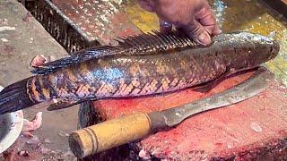 Amazing Cutting Skills | Big Sola-Rohu-Carp Fish Cutting Skills In Fish Market