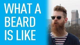 Beard Life And The Experiences | Eric Bandholz