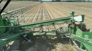 2023 Hafner Seed Farms Lenco Harvester view from the operator's seat