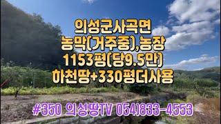 #350 의성땅TV  하천계곡접한 두릅 채소밭 농막(거주중) 합1500평 (하천땅 330평포함) 합1.1억 (당9.5만) 창고 하우스 풍경좋고 햇살가득한 귀농용 #의성땅#귀농귀촌