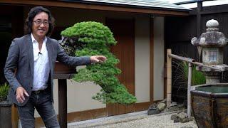 Japanese garden design by Shinji Suzuki